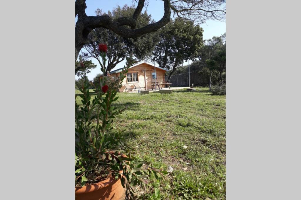 Chalet Climatisé SANTA MARIA à Bonifacio Bonifacio (Corsica) Exterior foto